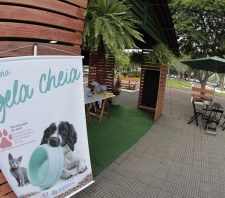 Campanha ‘Tigela Cheia’ arrecada 1,2 tonelada de ração