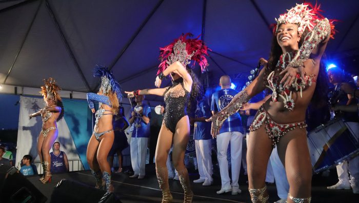 Carnaval atrai mais de 13 mil pessoas ao Parque Max Feffer