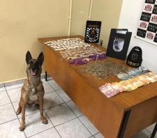 GCM prende acusado de tráfico de drogas no Jardim Belém