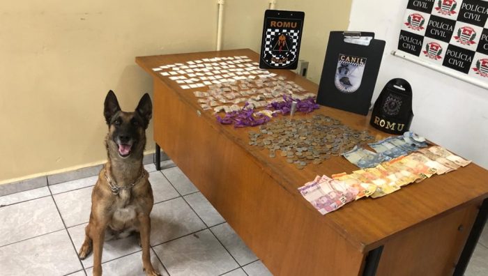 GCM prende acusado de tráfico de drogas no Jardim Belém