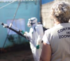 Ações para identificar focos de Aedes aegypti chegam a quase 2 mil imóveis