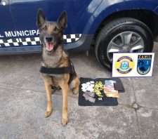 GCM detém jovem por tráfico de drogas no Parque Maria Helena