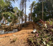 Fiscais impedem desmatamento em área de preservação ambiental