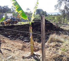 Fiscais de Posturas flagram movimentação ilegal de terra