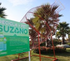 Viveiro Municipal e Fundo Social se juntam para estimular doação de garrafas plásticas
