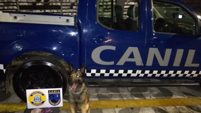 Pela 2ª vez em menos de uma semana, GCM detém menor por tráfico de drogas