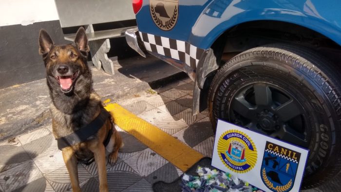 GCM flagra adolescente de 15 anos com drogas no Jardim Monte Cristo