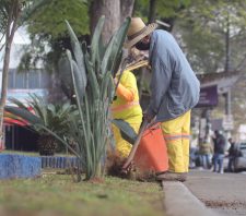 Praça João Pessoa passa por trabalhos de manutenção