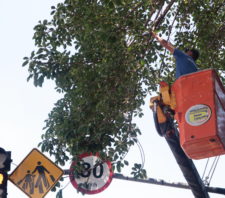 Equipes de zeladoria intensificam trabalhos por toda a cidade