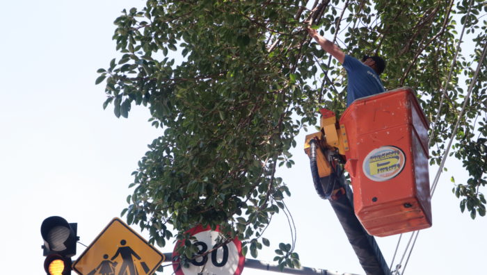 Equipes de zeladoria intensificam trabalhos por toda a cidade