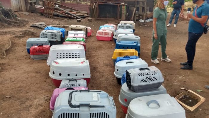 Meio Ambiente auxilia no resgate de animais em Palmeiras