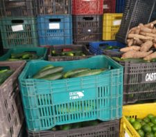 Banco de Alimentos de Suzano recebe 2 toneladas de insumos