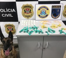 GCM detém acusado de tráfico de drogas e impede roubo no fim de semana