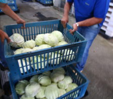 Prefeitura de Suzano planeja ampliar distribuição de alimentos