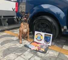 GCM apreende drogas e recupera veículos roubados