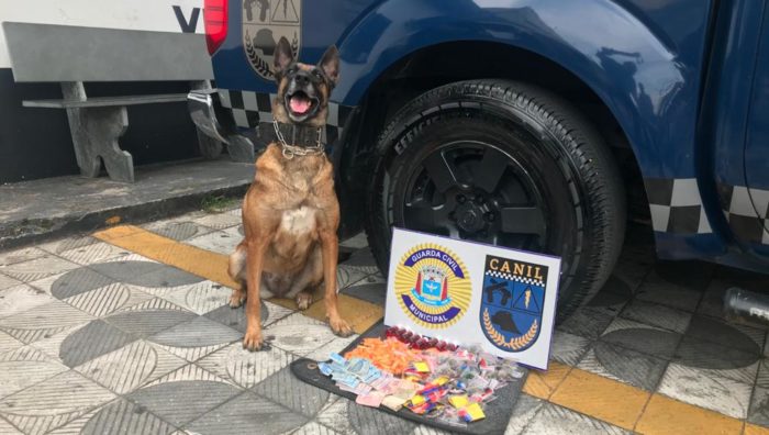 GCM apreende drogas e recupera veículos roubados