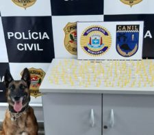 GCM recupera carro roubado e combate tráfico de drogas