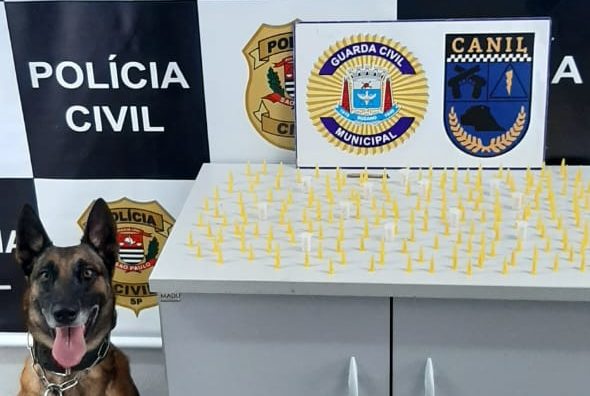 GCM recupera carro roubado e combate tráfico de drogas