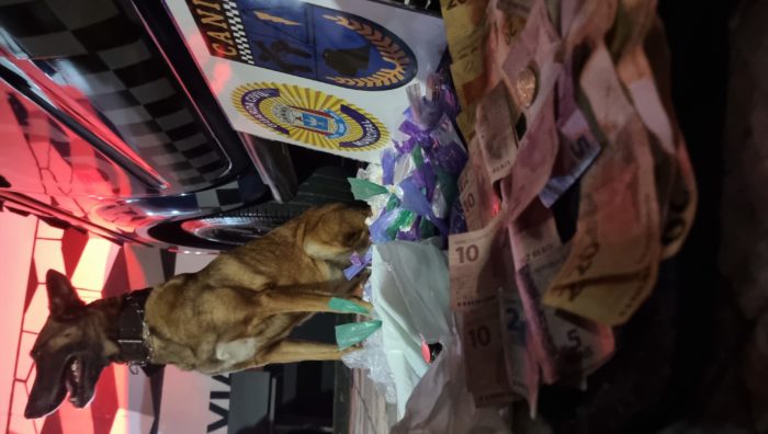 Canil da GCM intensifica combate ao tráfico de drogas nos bairros