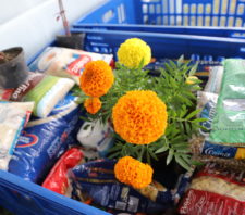 Campanha ‘Plante o Bem’ arrecada mais de 300 quilos de mantimentos
