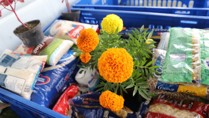 Campanha ‘Plante o Bem’ arrecada mais de 300 quilos de mantimentos