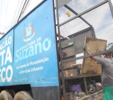 Cata-Treco fará coleta em mais 20 bairros