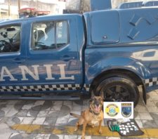 GCM apreende drogas e moto adulterada