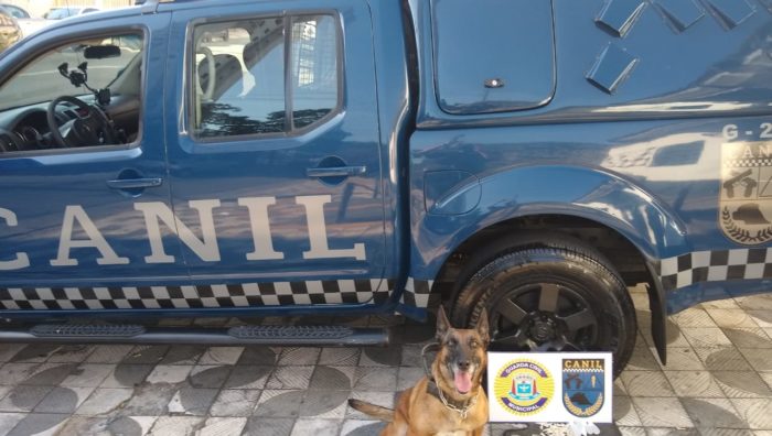 GCM apreende drogas e moto adulterada