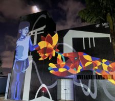 Painel ‘Desperta Cidade das Flores’ é concluído
