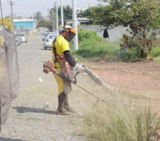Fim de semana é marcado por mutirão de zeladoria na Vila Urupês