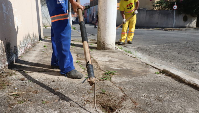 Mutirão leva serviços de zeladoria à região do Parque Santa Rosa