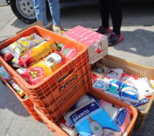 Fundo Social recebe mais de 150 quilos de alimentos em doação