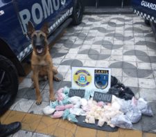 Operação da GCM apreende 11 quilos de drogas no Jardim Monte Cristo