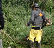 Mutirão de zeladoria chega ao Jardim Varan