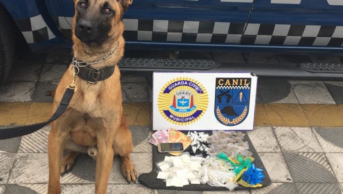 Canil da GCM apreende drogas no Jardim Suzanópolis