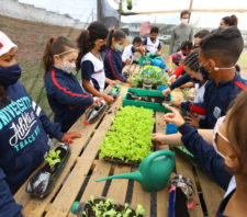 Escola no Jardim Belém constrói viveiro e cultiva horta com os alunos