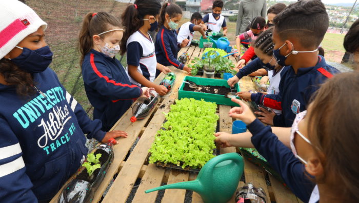 Escola no Jardim Belém constrói viveiro e cultiva horta com os alunos