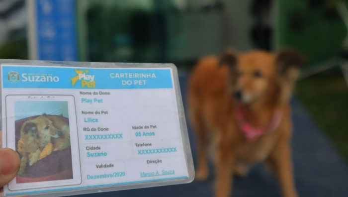 PlayPet orienta sobre atualização da carteira de vacinação dos cães