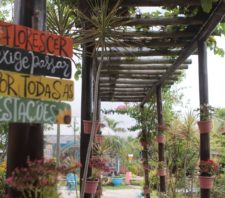 Parque Municipal Max Feffer retoma as atividades neste domingo