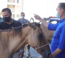 Bem-Estar Animal destaca parceria com vereador Marcel da ONG