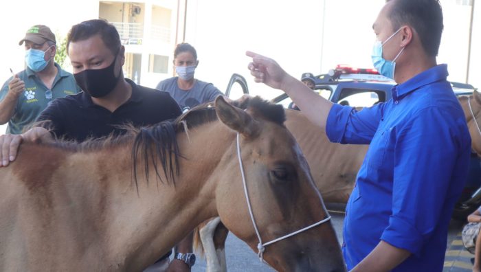 Bem-Estar Animal destaca parceria com vereador Marcel da ONG