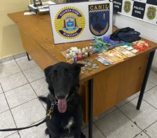 Canil da GCM apreende meio quilo de drogas no Jardim Alterópolis