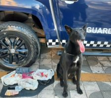 GCM realiza Operação Saturação no Jardim Casa Branca