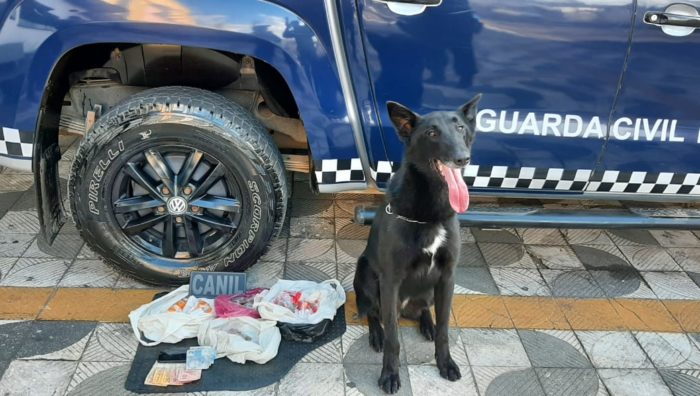 GCM realiza Operação Saturação no Jardim Casa Branca