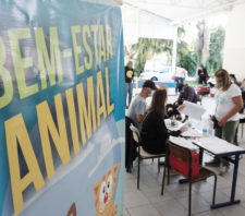 Bem-Estar Animal resgata cão atropelado na região norte