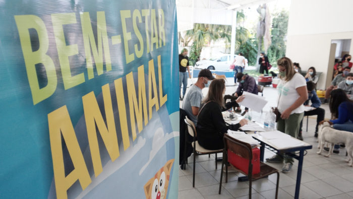 Bem-Estar Animal resgata cão atropelado na região norte