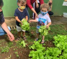 Projeto contra insegurança alimentar é destaque em escola no Monte Cristo