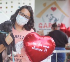Meio Ambiente promove adoção de 23 cães em evento no Parque Max Feffer