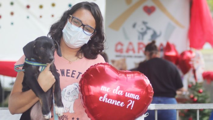 Meio Ambiente promove adoção de 23 cães em evento no Parque Max Feffer
