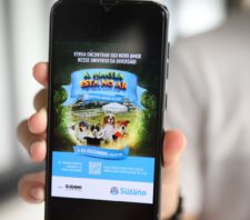 Meio Ambiente organiza evento de adoção no Parque Max Feffer